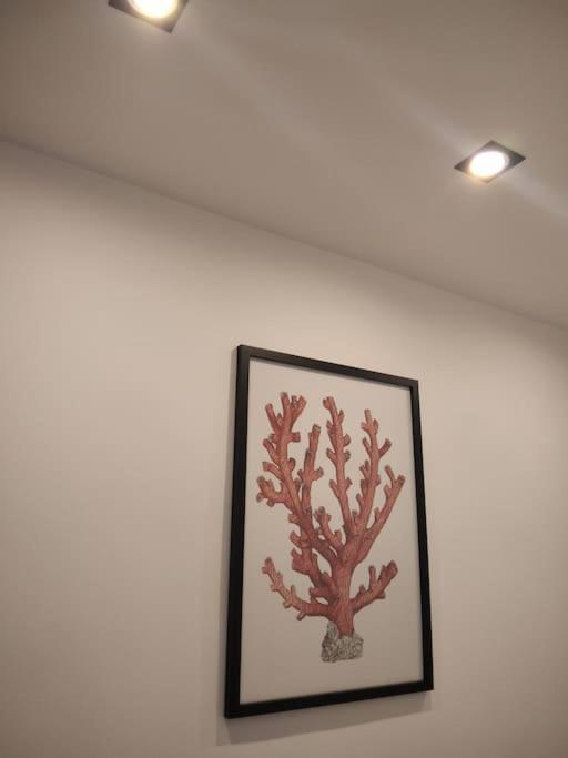 Dimora Cutelli Apartman Catania-Fontanarossai nemzetközi repülőtér Kültér fotó